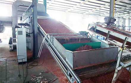 带式干燥机，浙江某食品厂